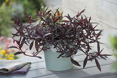 《杀戮尖塔》开发商对Unity价格策略调整表达强烈不满